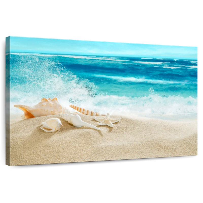 Gillard Shells On The Beach
