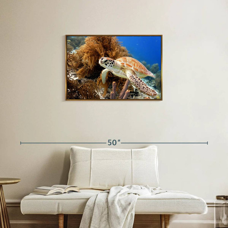 Tortue de récif, 31 po x 21 po, Cadre flottant doré