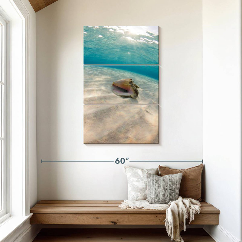 Aletra Underwater Seashell, 45" H x 28" W