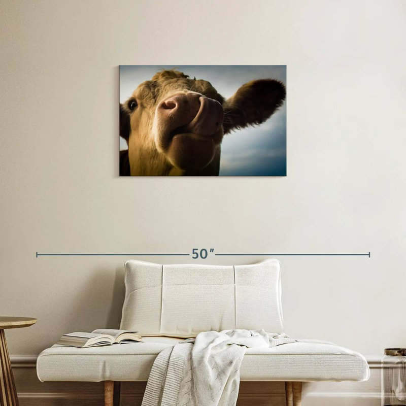 Vache ridicule, H 20 po x l 30 po