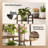 11-Tier Wooden Plant Stand With 8 Grow Lights