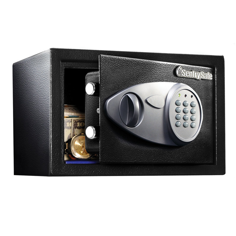  SentrySafe 0.41 Cu. Ft. Security Safe with Digital Keypad Lock