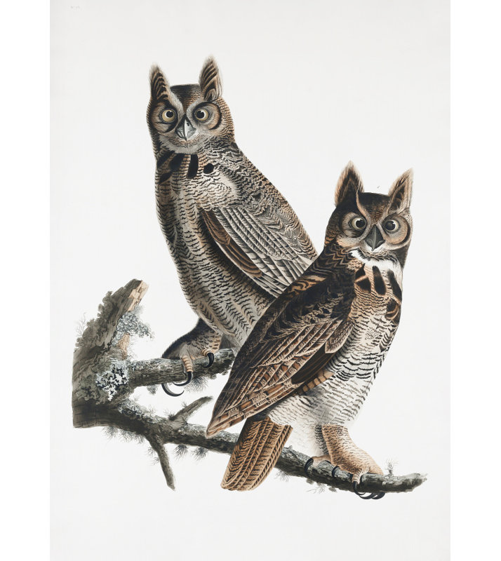 Wrapped Canvas Print, 60.96 cm H x 91.44 cm W