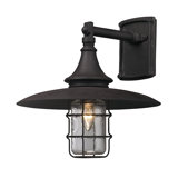 Allegany 1-Light Outdoor Barn Light