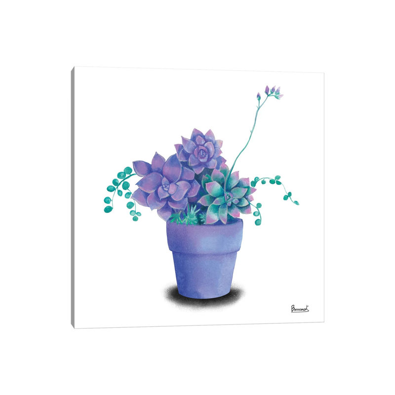 Turquoise Succulents II 1 Piece Wrapped Canvas Wall Art, 30.48 cm H x 30.48 cm W