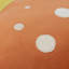 Tobar Orange Novelty Throw Cushion