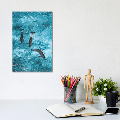 Maldives Dolphins Ocean Aerial by James Vodicka - Wrapped Canvas Gallery-Wrapped Canvas Giclée