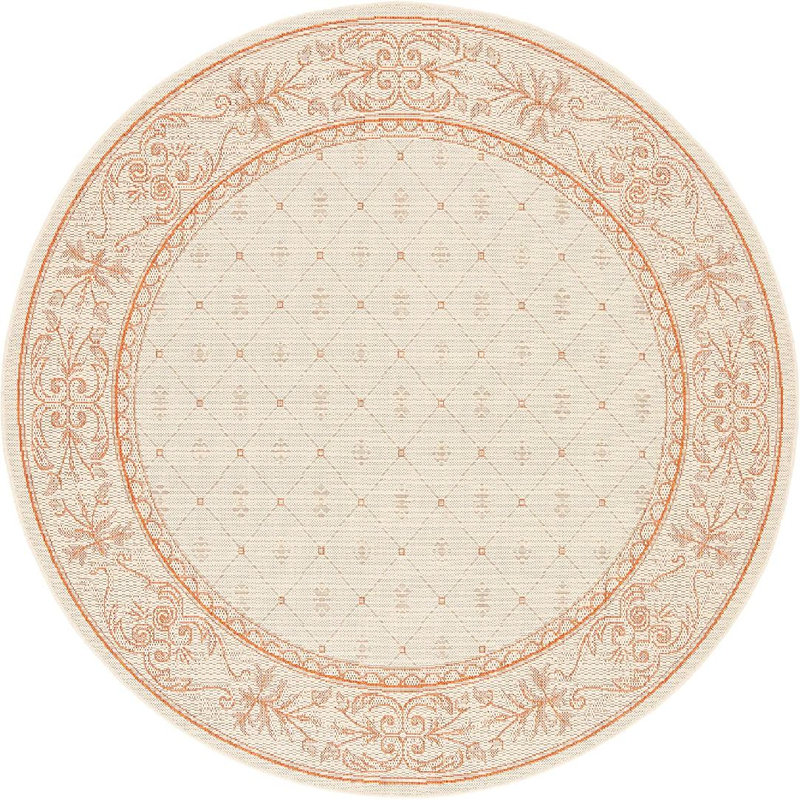 Oriental Indoor / Outdoor Rug