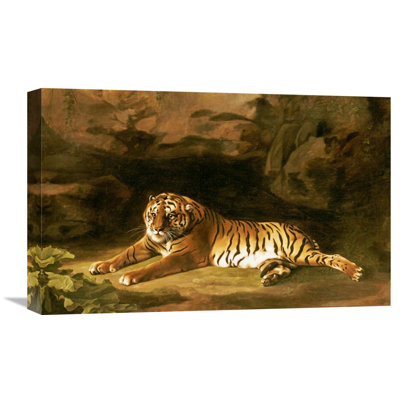 " Portrait Of The Royal Tiger " by George Stubbs