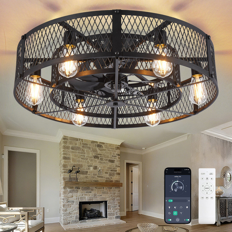 Ventilateur de plafond en cage 26 pouces avec lumière, télécommande et contrôle des applications moteur à courant continu noir