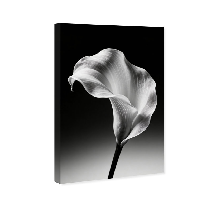 Petal Wave Print by Oliver Gal, 15" H x 10" W, Gallery Wrapped