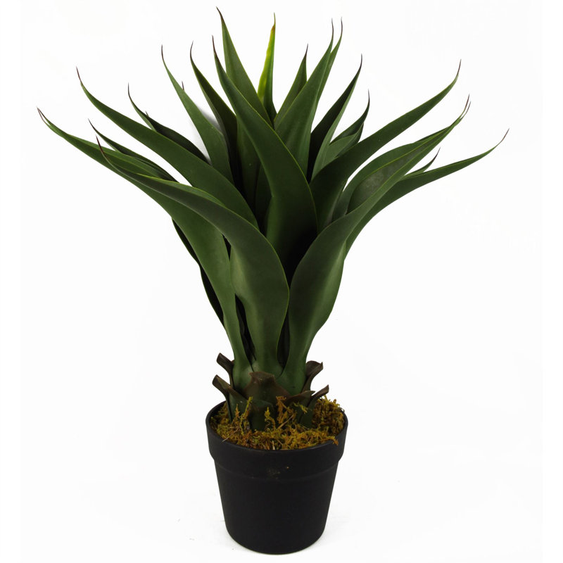 55cm Faux Yucca Tree in Pot Liner