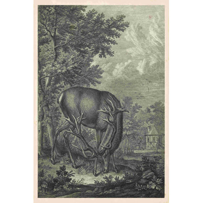 Woodland Deer IV