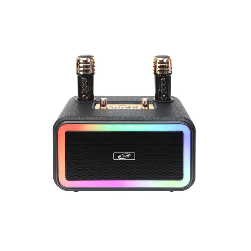 Karaoke+ Wireless Party Machine