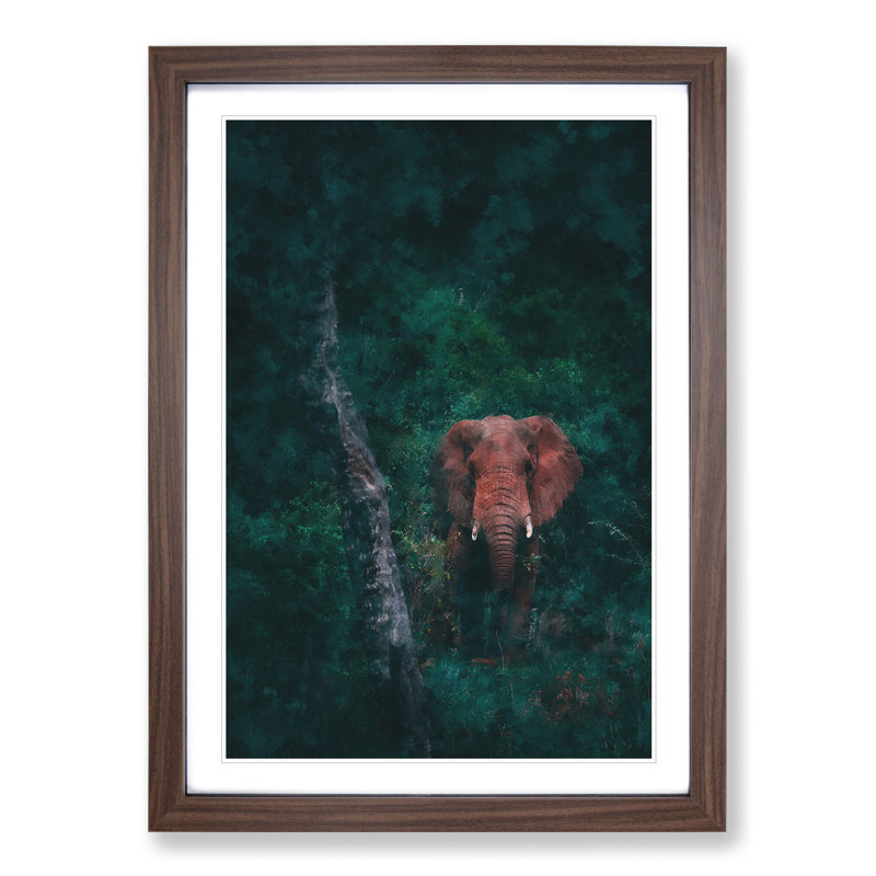 Elephant Vol.8 - Picture Frame Graphic Art, Walnut Framed, 48cm H x 36cm W x 2cm D