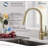 OAKLAND Pull Down Kitchen Faucet-55635329