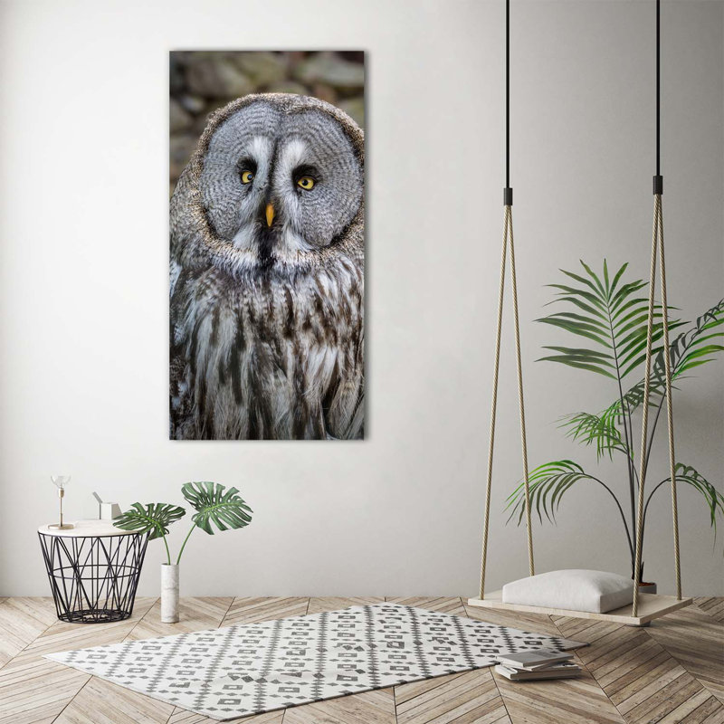 Owl 1 Piece Wrapped Canvas Wall Art