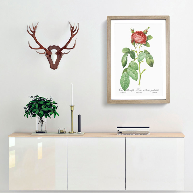 Red Gallic Rose by Pierre-Joseph Redoute - Picture Frame Painting Print, Oak Framed, 48cm H x 36cm W x 2cm D