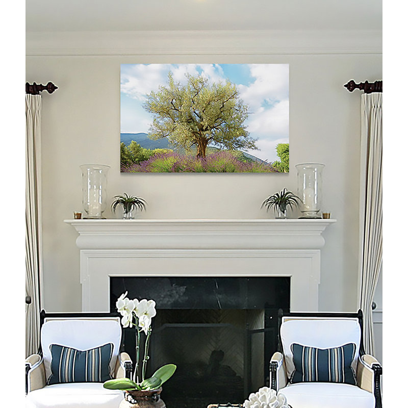 «Olive Tree and Lavender», reproduction, H 18 po x l 27 po x P 1,5 po, Toile tendue