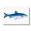Alpine Charr Fish - Wrapped Canvas-55368604