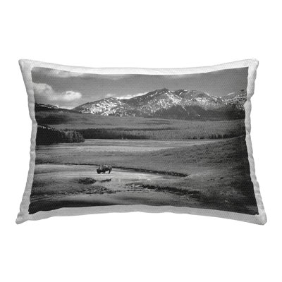 Outdoor Throw Pillow