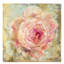 Rose Gold II by Debi Coules - Wrapped Canvas Painting-42159118