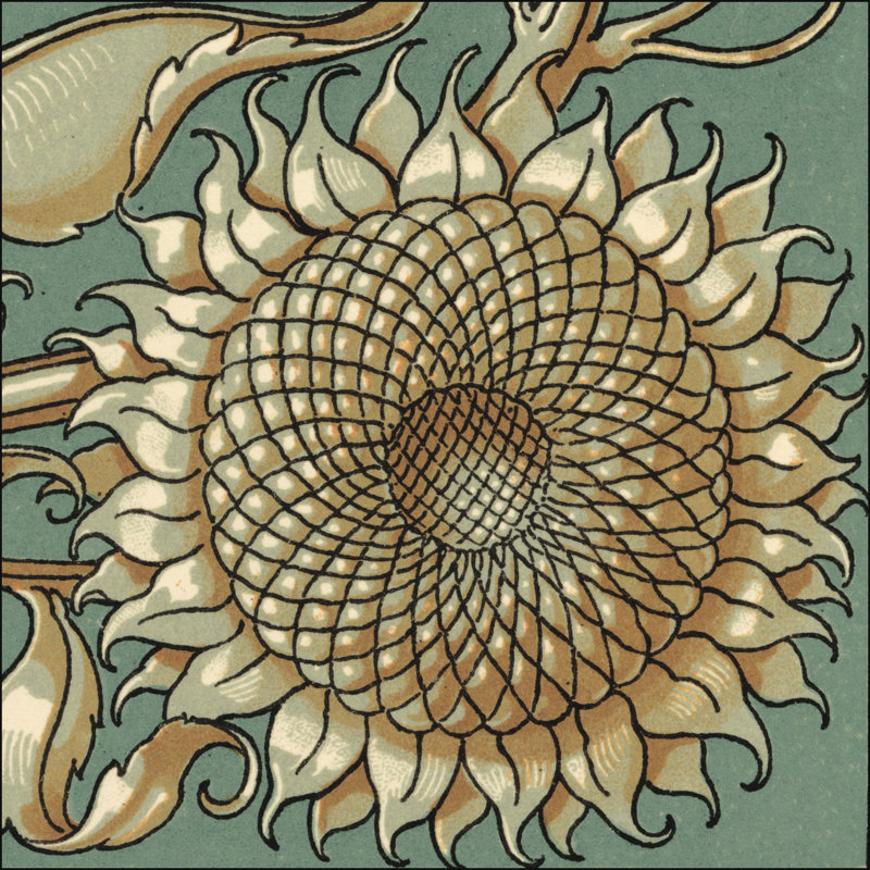 Sunflower Woodblock IV - Wrapped Canvas Painting, 91cm H x 91cm W x 3.8cm D