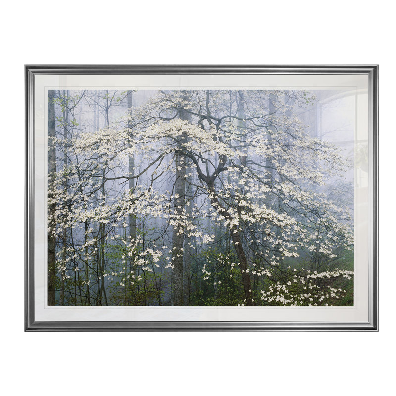 « jones dogwood auvent », impression, H 20 po x l 24 po x P 1,5 po, Cadre argenté
