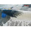 Abstract Area Rug-71471762