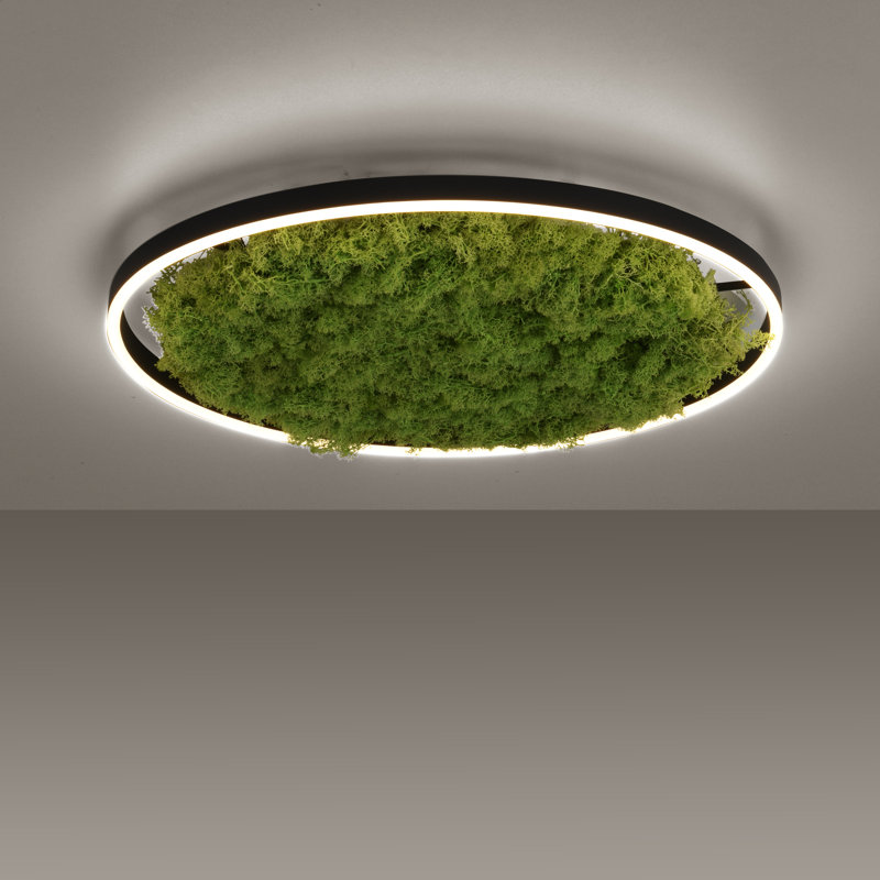 Ahlivia Not Applicable LED Flush Mount