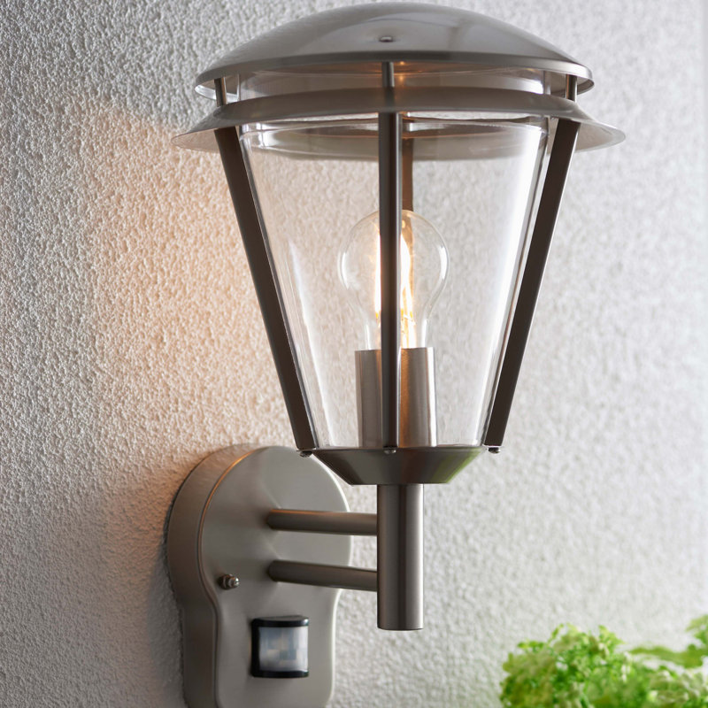 Nellie 38cm H Outdoor Wall Lantern, Brushed Stainless Steel