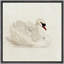 «Elegant Swan In Repose», reproduction d'art sur toile-599586015-599586014