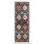 Aryana Wool Oriental Area Rug