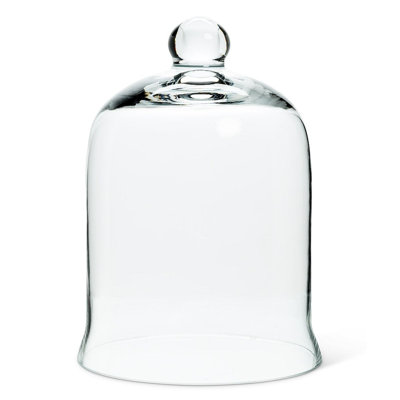 Cloche Or Water Globe