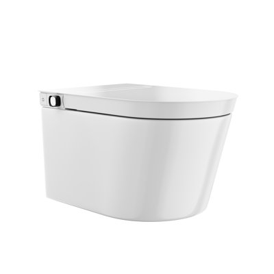 Toilette murale Hugo H blanc brillant avec bidet manuel et cadre de support