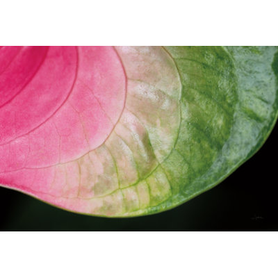 Pink And Green by Aledanda - Wrapped Canvas Painting