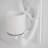 Vollmer Resin Armed Sconce