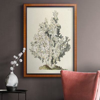 Corail antique I, toile encadrée de qualité supérieure - prête à être accrochée