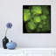 Broccoflower, reproduction de photo sur toile tendue-18515828-74381312-74381314