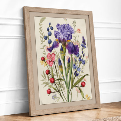 Iris and Specimen Botanical - Framed Print