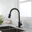 Robinet de cuisine rétractable à poignée simple avec accessoires-61310992