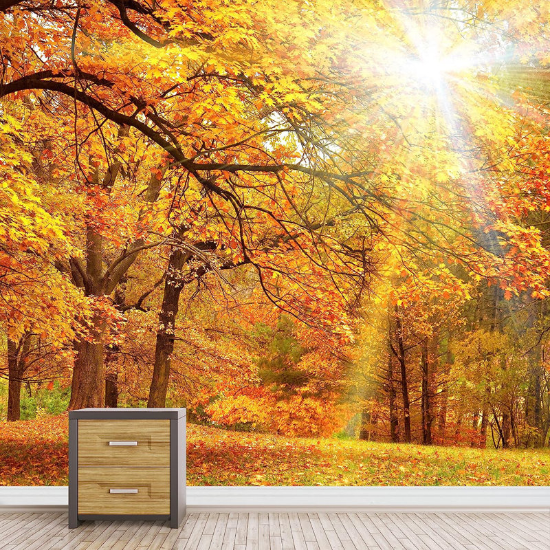 Adhésif solaire parc d'automne, L 100 po x l 144 po