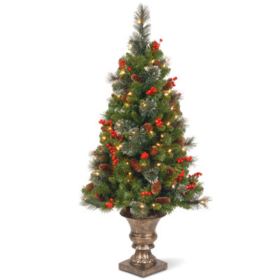 The Holiday Aisle® Crestwood Spruce Entrance Tree