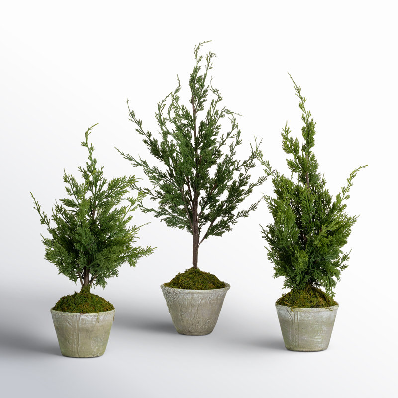 Simms 32'' Faux Cedar Tree in Cement Pot