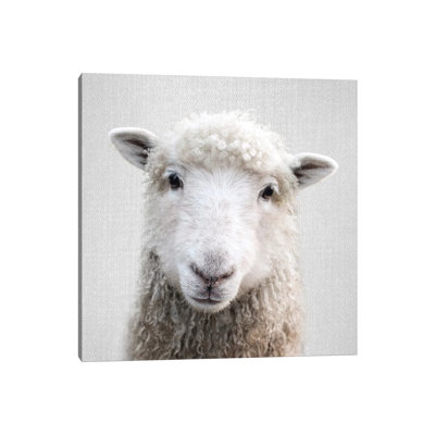 «Sheep» - reproduction de photo