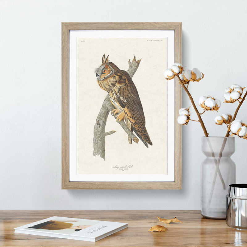 Long-Eared Owl by John Audubon - Picture Frame Painting Print, 36cm H x 27cm W x 2cm D, Oak Framed