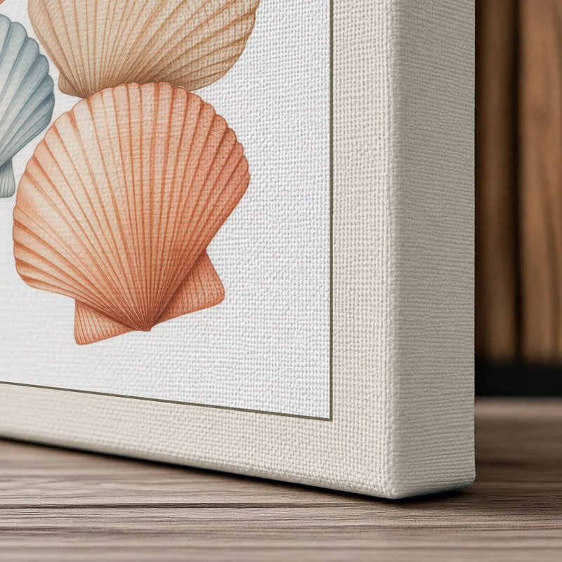 Seashells and Starfish Coastal - Wrapped Canvas, Cream Border, 24x16 - 61.0 x 40.6 cm