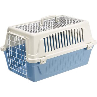 Petmate Pet Porter Dog Kennel, 24inch Length, 15 to 20lbs, Pale Aqua and  Black 