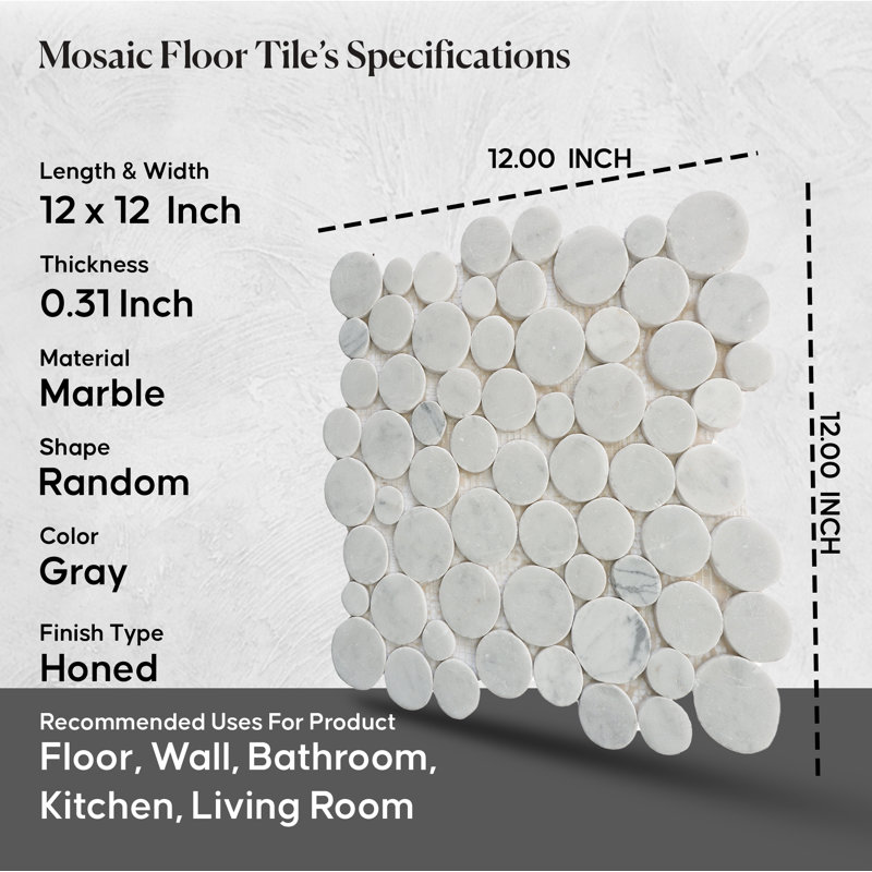 Alaska 12" x 12" Natural Stone Penny Round Mosaic Wall & Floor Tile