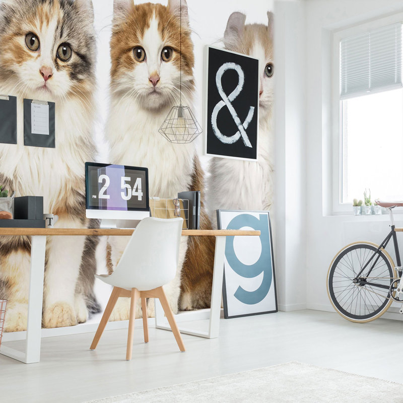 Panneau de papier peint Yeprad Cats, L 100,08 po x l 192 po